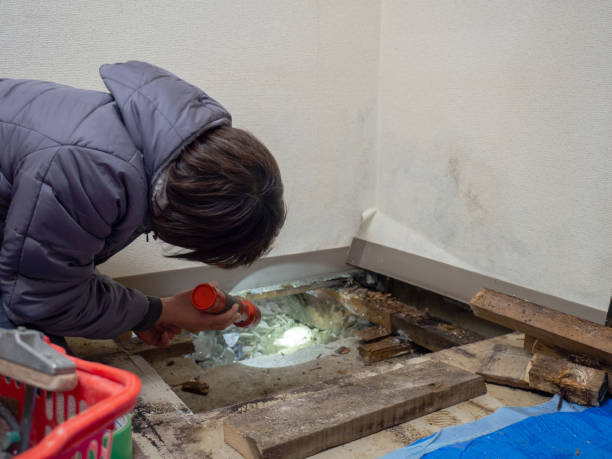 Best Crawl Space Mold Remediation  in Ilchester, MD