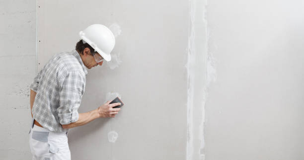 Best Commercial Mold Inspection  in Ilchester, MD