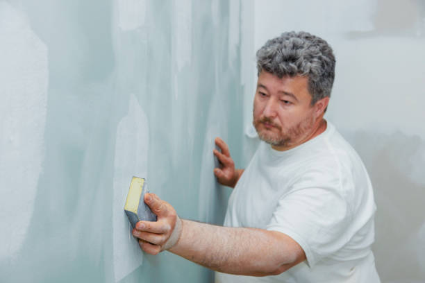 Best Asbestos and Lead Testing During Mold Inspection  in Ilchester, MD