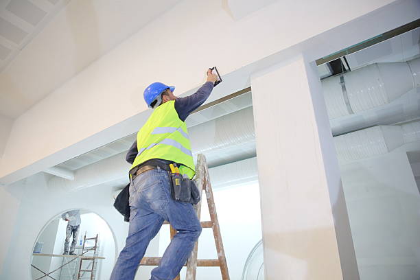 Best Mold Odor Removal Services  in Ilchester, MD