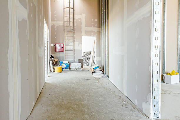 Best Post-Construction Mold Inspection  in Ilchester, MD