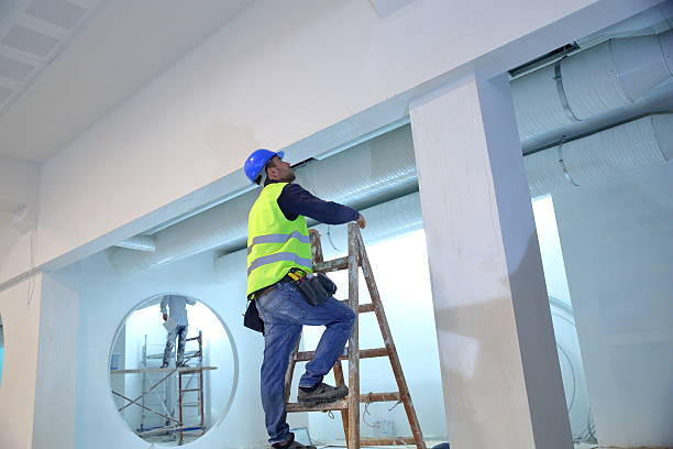 Best Basement Mold Removal  in Ilchester, MD